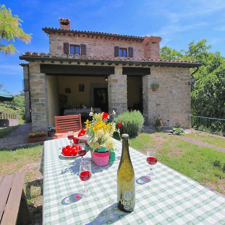 Farmhouse In Apecchio With Swimming Pool Terrace Garden Villa Kültér fotó